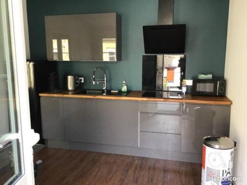 une cuisine avec un comptoir avec un évier et un micro-ondes dans l'établissement Appartement plein pied avec terrasse, à Saint-Malo