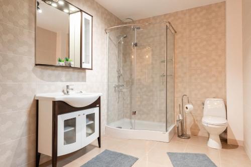 La salle de bains est pourvue d'une douche, d'un lavabo et de toilettes. dans l'établissement La Moldo, à Moldoviţa