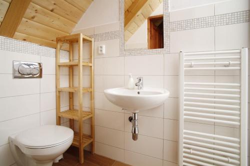 ein Bad mit einem WC und einem Waschbecken in der Unterkunft Chata Béďa in Bedřichov