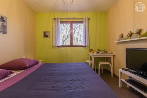 1 dormitorio con 1 cama grande y TV en A l'oree des monts en Bassens