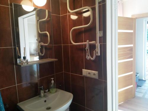 a bathroom with a sink and a mirror at Plieņciems Urgas Mazais numurs in Plieņciems
