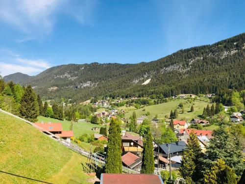 eine kleine Stadt in den Bergen mit Bäumen und Häusern in der Unterkunft Haus Lahner in Bad Bleiberg