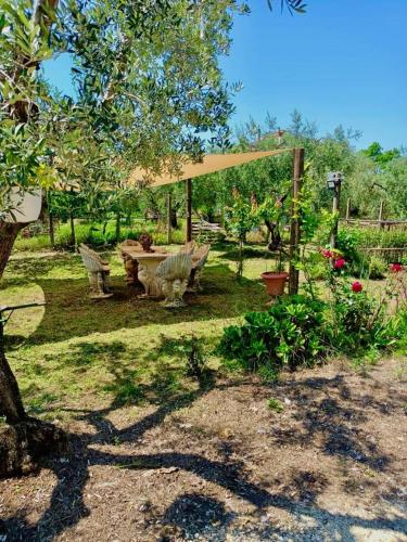 een tuin met een bank en een picknicktafel bij Colle Perazzoni in Fiano Romano