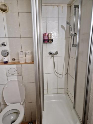 uma casa de banho com um chuveiro e um WC. em Appartamento centrale em Hanôver