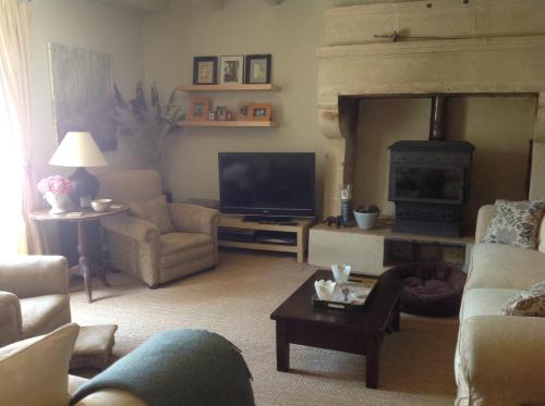 een woonkamer met een televisie en een open haard bij Chez Brown in Saint-Thomas-de-Cônac