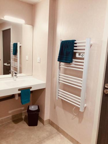 une salle de bain avec un lavabo et un miroir dans l'établissement Résidence Services Séniors, à Montignac