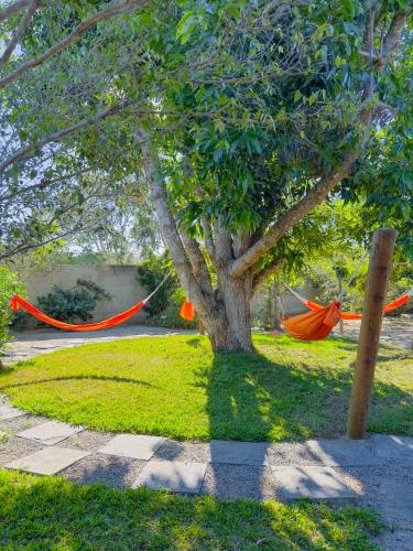 an orange ribbon around a tree in a park at Rancho Litoral Búzios in Búzios