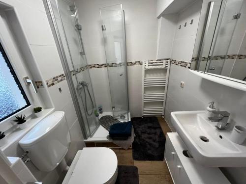 a bathroom with a toilet and a sink and a shower at Apartment Conan in Auerbach