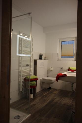 a bathroom with a shower and a sink and a toilet at Ferienhof Stärk in Bodnegg