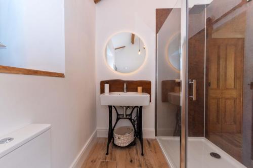 a bathroom with a sink and a mirror at Bramble Cottage, hidden gem in Comber near Belfast in Ballygowan