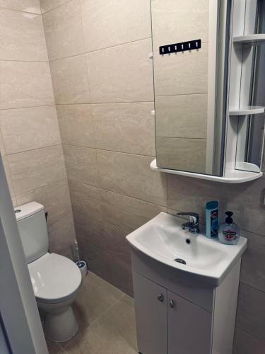 a bathroom with a toilet and a sink and a mirror at AJ Chocolate Vilnius in Vilnius