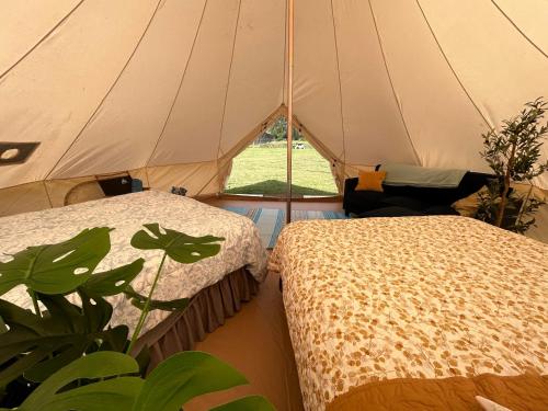 a tent with two beds next to a plant at Maleka Farm: Tent Glamping North Shore Oahu in Laie