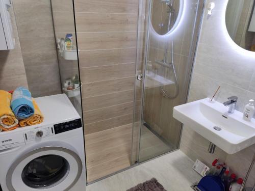 y baño con lavadora y lavamanos. en Apartman Virgin Forest - FREE Garage Bjelašnica, en Bjelašnica