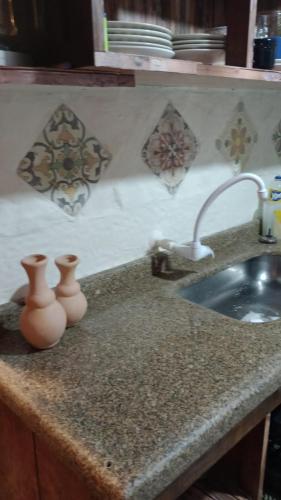 um balcão de cozinha com um lavatório e dois vasos sobre ele em Casa Rústica Lisboa 100m da praia no Balneário Camboriú
