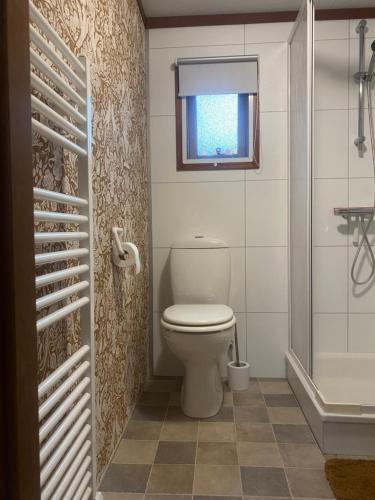 uma casa de banho com um WC e uma janela em 4 Persoons BoetiekCHalet met hottub em Voorthuizen