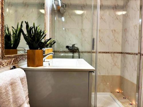 y baño con lavabo y ducha. en Hoibai, Apt Bolboreta, elegante, céntrico, cómodo, en Baiona