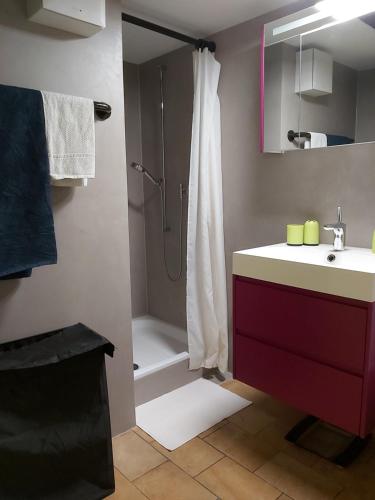 a bathroom with a shower and a sink and a shower at Solothurn in Solothurn