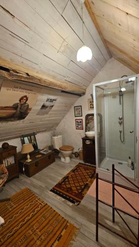 ein großes Bad mit einer Dusche und einem WC in der Unterkunft Longère Typique — Charmante chambre d'Hôte 