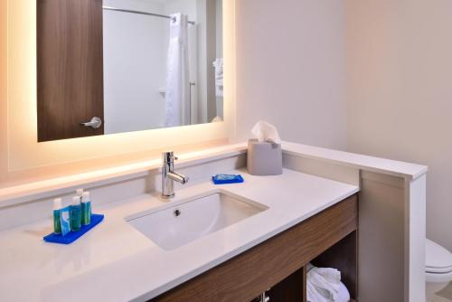 a bathroom with a sink and a mirror at Holiday Inn Express & Suites Farmville, an IHG Hotel in Farmville