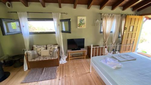 a bedroom with a bed and a chair and a television at Little Garden cabin in Perivolaki