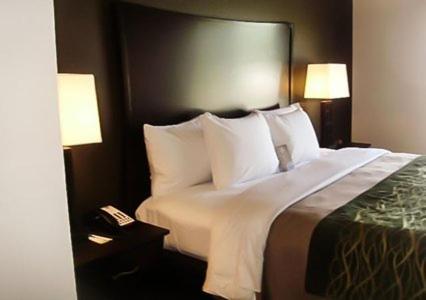 a bedroom with a large bed with white sheets and pillows at Comfort Inn & Suites Woodward in Woodward