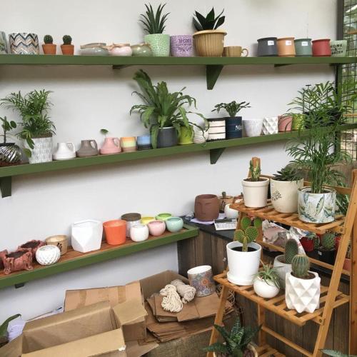 a room filled with shelves filled with potted plants at Royad Calicut Farm House - Premium Villa with Pool Inside a Farm in Kozhikode