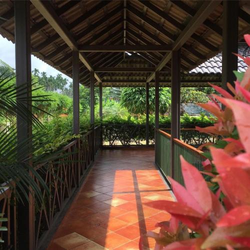 a walkway in a conservatory with trees and plants at Royad Calicut Farm House - Premium Villa with Pool Inside a Farm in Kozhikode