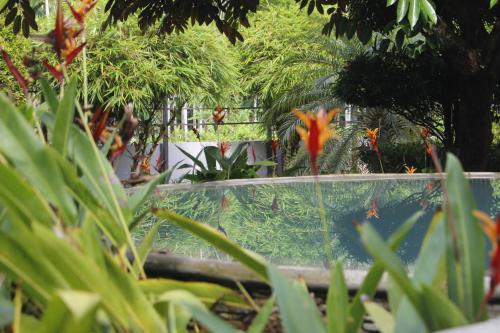 a flower in the middle of a garden at Royad Calicut Farm House - Premium Villa with Pool Inside a Farm in Kozhikode