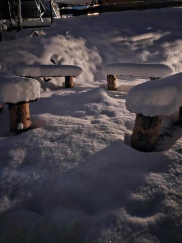 a row of park benches covered in snow at JELONKOWO - Dom na wynajem - Kaszuby in JeleÅ„ska Huta