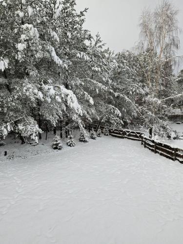 a park covered in snow with trees and a fence at JELONKOWO - Dom na wynajem - Kaszuby in JeleÅ„ska Huta