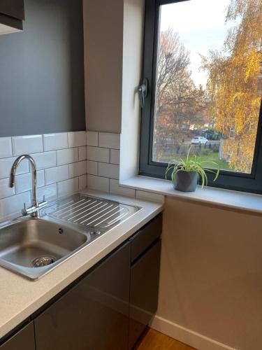uma cozinha com um lavatório e uma janela em City Centre Modern Studio Apartment - Westone FREE WIFI, GYM ACCESS, NETFLIX em Sheffield