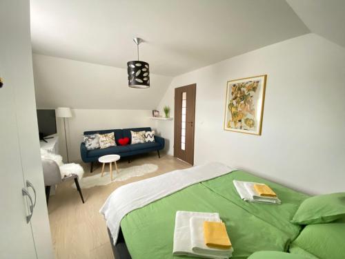 a bedroom with a green bed and a couch at Villa Luiza in Şura Mare