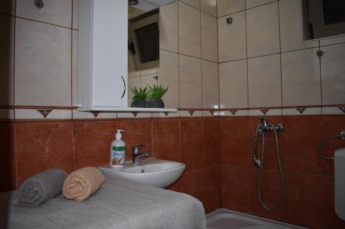 a bathroom with a sink and a shower at Nature's Haven in Kotor