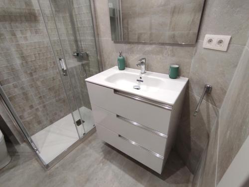 een badkamer met een wastafel en een douche bij Bonito Apartamento en Zamakola in Bilbao