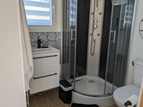 une salle de bain avec une douche avec des toilettes et un lavabo dans l'établissement Le Petit chalet - 2 étoiles au classement tourisme, à Birac-sur-Trec