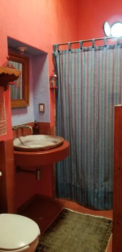 y baño con aseo, lavabo y ducha. en Posada de la Cruz, en Querétaro