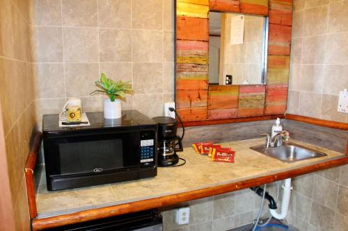 a kitchen counter with a microwave and a sink at The Village Cabins in Big Bear Lake