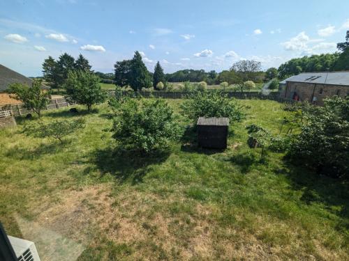 an overhead view of a garden with trees in a field at The Barn at Linwood Hall Farm in Martin