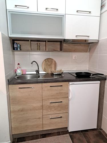 Virtuvė arba virtuvėlė apgyvendinimo įstaigoje Apartment Ksenija