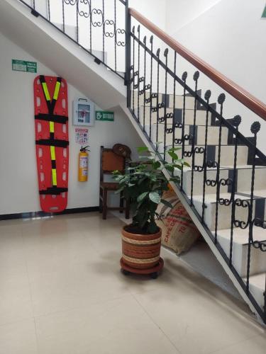 un escalier avec une plante en pot dans une pièce dans l'établissement Casa Vacacional cerca al Parque del Café, à Montenegro