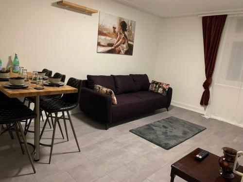 a living room with a couch and a table at BK Apartments in Lörrach