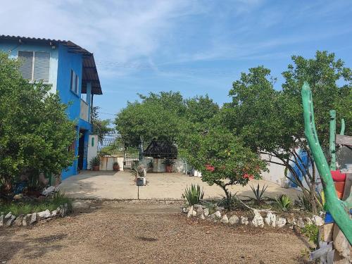 a yard with a blue building and some trees at Galerazambahostal in Galerazamba