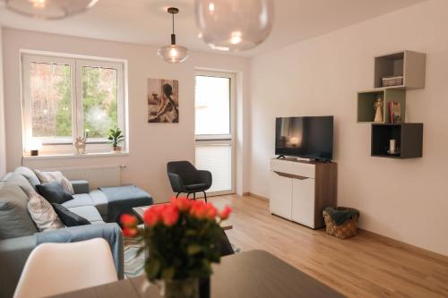 a living room with a couch and a tv at Apartmán NeKLID in Jáchymov