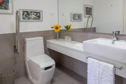 a bathroom with a sink and a toilet and a mirror at Monte das Texugueiras in Texugueira