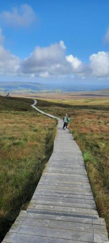 two people walking down a path in a field at Holllie View in Enniskillen