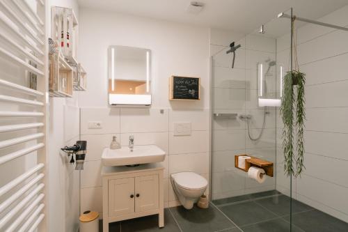ein Bad mit einem Waschbecken, einem WC und einer Dusche in der Unterkunft Modernes 2-Zimmer Themen-Apartment "Heimathafen" im Zentrum in Bayreuth