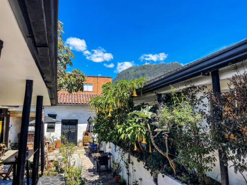 a courtyard of a house with trees and plants at El Yarumo Hostel in Bogotá