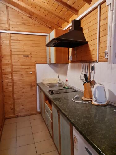 a kitchen with a sink and a counter top at Domki Energetyk in Pogorzelica