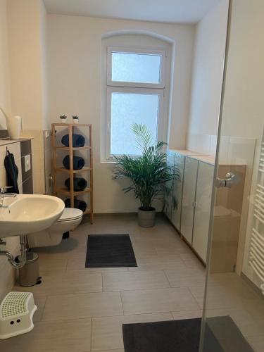 baño con lavabo y aseo y ventana en Bergstadtwohnung, en Freiberg