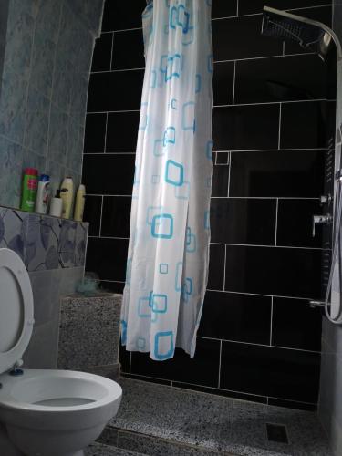 a bathroom with a toilet and a shower curtain at Petra Musa Rural House in Wadi Musa